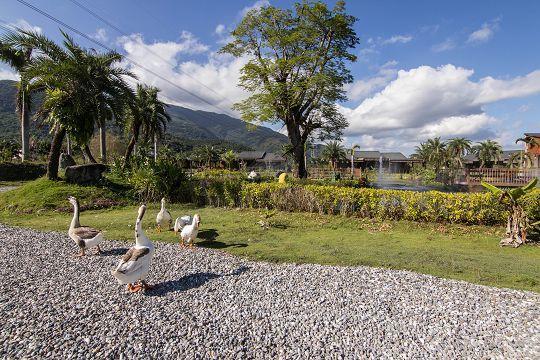 Ruisui Palm Lakes B&B Εξωτερικό φωτογραφία